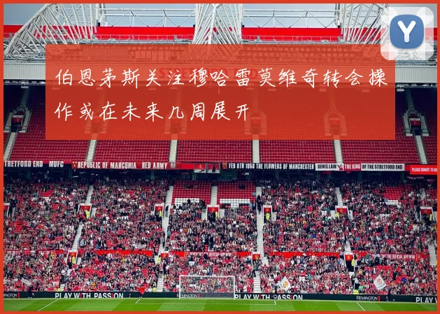 伯恩茅斯关注穆哈雷莫维奇转会操作或在未来几周展开